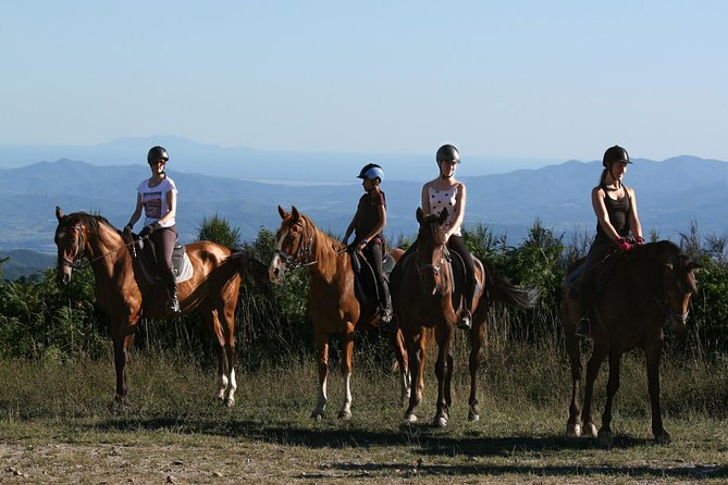 Half-Day Horseback Ride in Tuscany for Beginner Riders - Outdoor Adventure Destination for Exploration