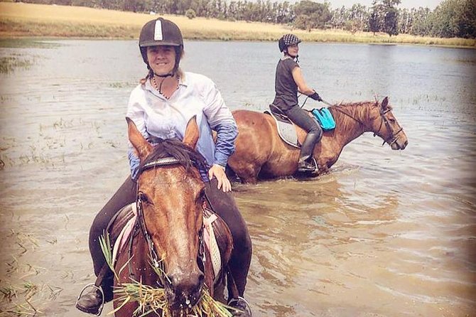 Half Day Horseback Wine Tour - Inclusions and Meeting Details