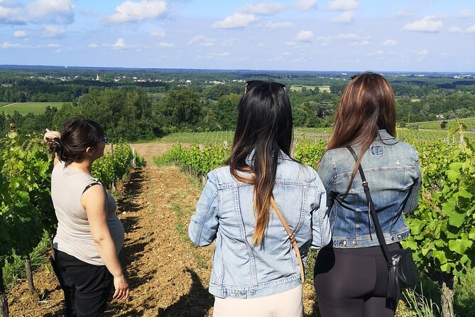 Half-Day in the Bordeaux Vineyard and Wine Tastings - Meeting Details
