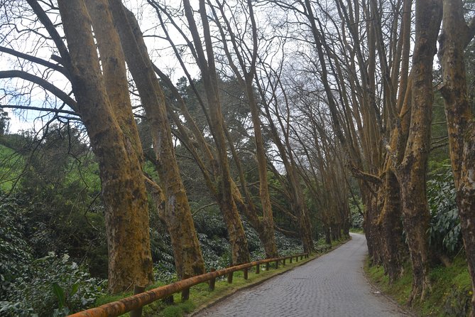 Half Day Lagoa Do Fogo (Middle of the Island) - Scenic Highlights of the Island