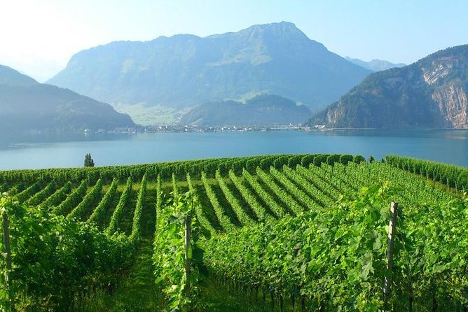 Half-Day Lake Lucerne Country Walk - Experience Highlights