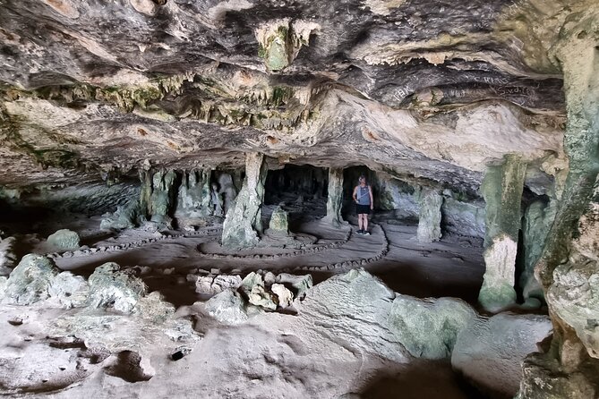 Half Day National Park Safari Tour and Baby Beach - Inclusions and Meeting Details