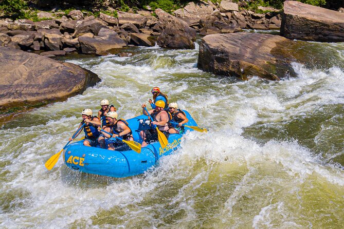 Half Day New River Gorge Whitewater Rafting - Meeting Location