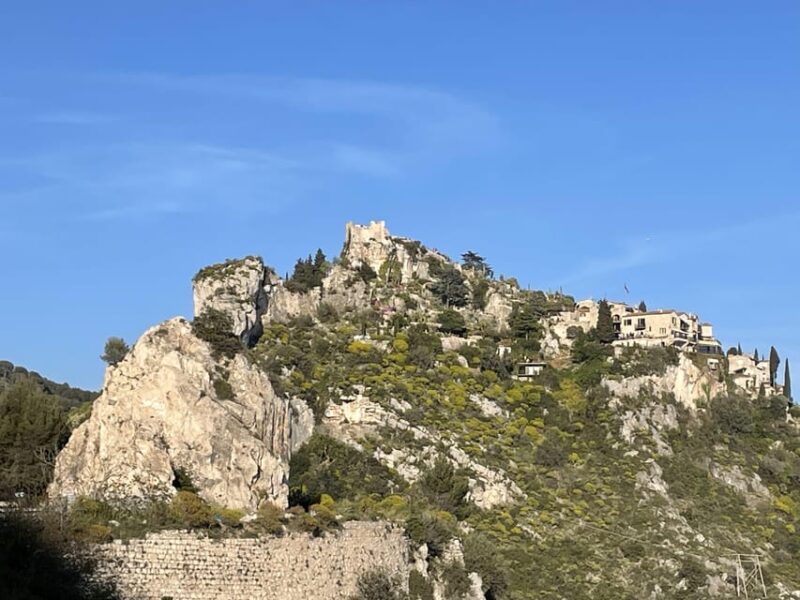 Half-Day Nice to Monaco Private Tour - Pickup and Itinerary