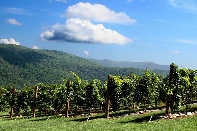 Half-Day North Georgia Wine Country Tour From Atlanta - Meeting Point and Departure