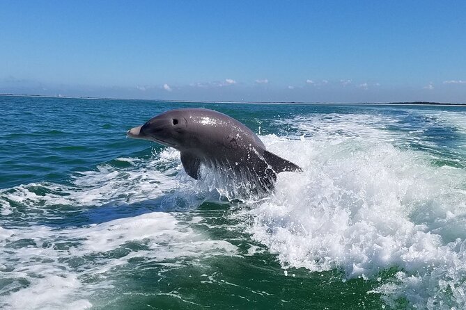 Half-Day Private Boating On Platinum Funship - Dunedin - Enjoyable Activities on Board