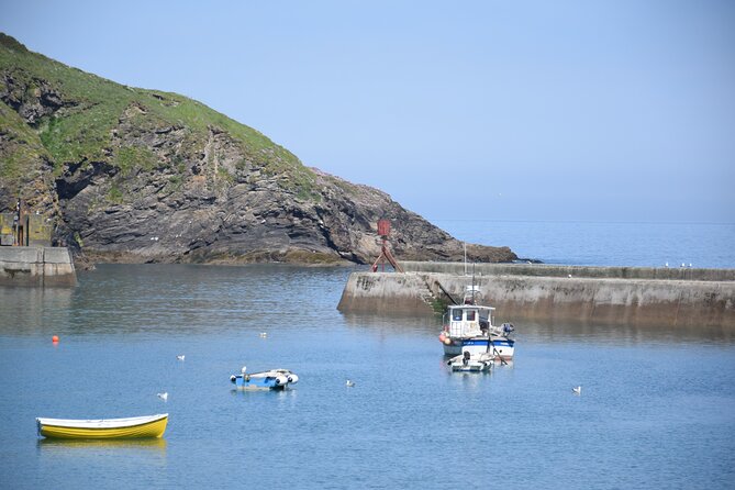 Half-Day Private Doc Martin and Fishermans Friends Tour - Booking Information
