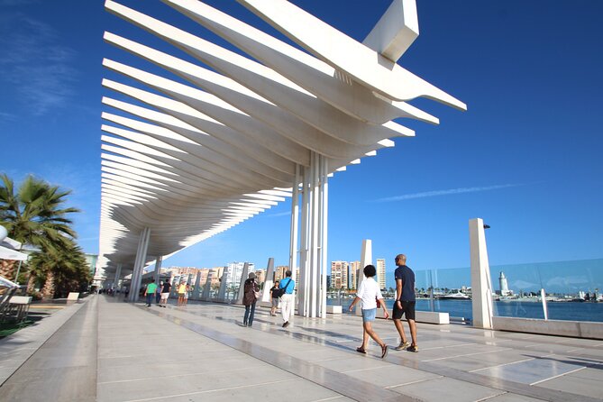 Half-Day Private Taxi Tour to Malaga Historic Center - Personalized Itinerary and Preferences