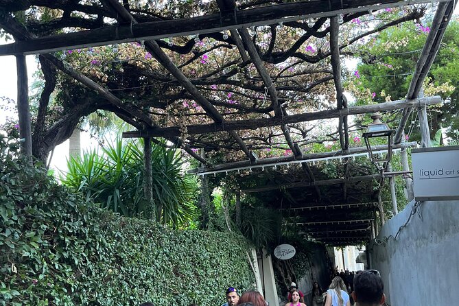 Half Day Private Tour in Positano - Pricing and Booking Information