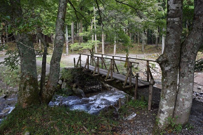 Half Day Private Tour of the Sila National Park - Meeting and End Points