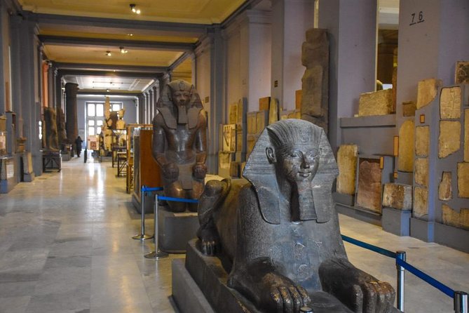 Half-Day Private Tour to The Egyptian Museum - Highlights of the Collection
