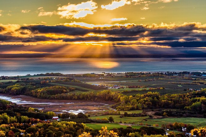 Half-Day Small-Group Tour of Annapolis Valley - Activities and Experiences