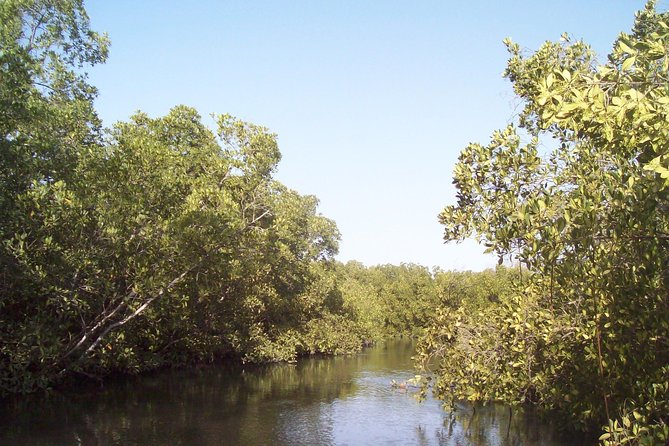 Half-Day Somone Lagoon and Bandia Park Safari From Dakar - Lagoon Boat Ride