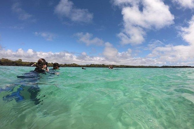 Half Day Tintoreras Tour From Isabela Island - Exploring Tintoreras Islet