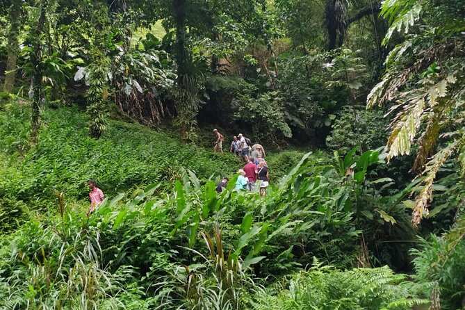 Half Day Tour Anywhere in Martinique - Meeting and Pickup Information