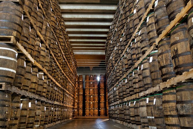 Half-Day Tour: Ron Barceló Factory Experience From Santo Domingo - Inclusions and Pickup