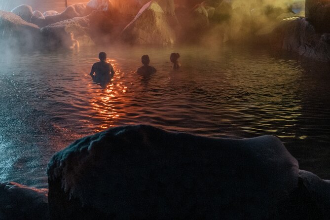 Half Day Tour to Chena Hot Springs From Fairbanks - Pickup and Accessibility