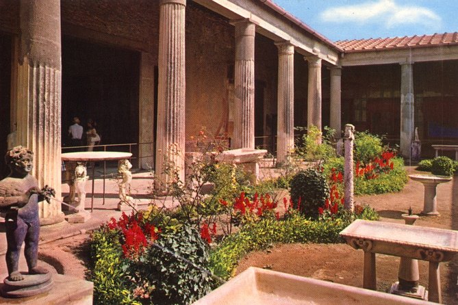Half-Day Tour to Pompeii Archaeological Park From Salerno - Highlights of the Experience