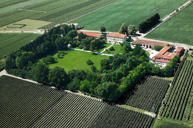 Half Day Venice Cruise Terminal Shore Excursion Wine Food Tasting Outlet Village - Included Highlights