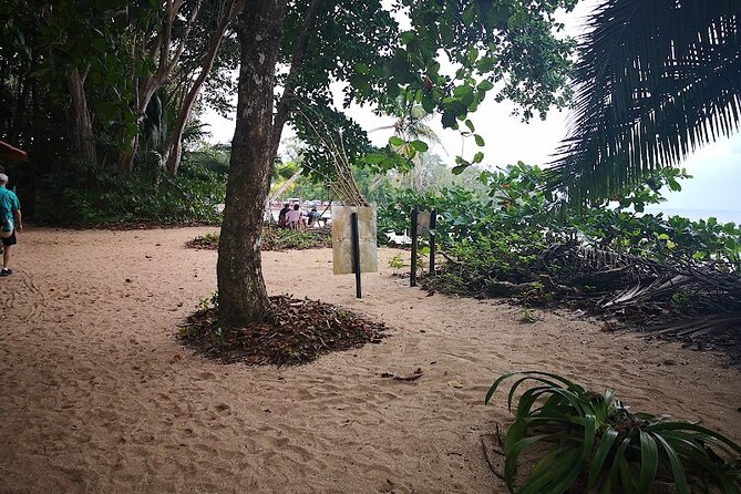 Half-Day Wildlife Hiking Tour of Cahuita National Park - Guided Hike and Observations