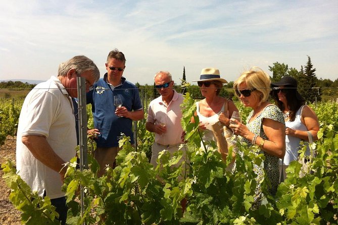 Half Day Wine Tour. Private Tour From Carcassonne and Around. - Pickup Information