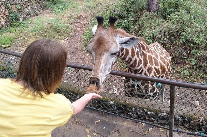 Haller Park Tour Observing Hippos, Giraffes, Birds, Monkeys, Crocs & Others - Hippos and Their Habitat