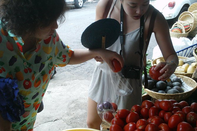 Hands ON Mex Cooking Class Experience City Tour & Market & Lunch - Menu and Inclusions