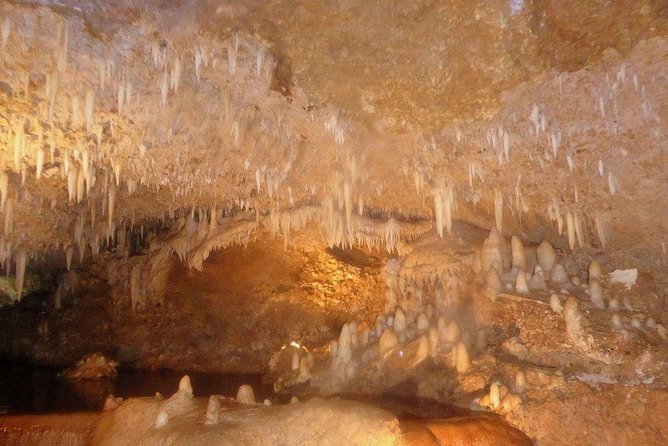 Harrisons Cave and Mount Gay Rum Tour - Meeting and Pickup