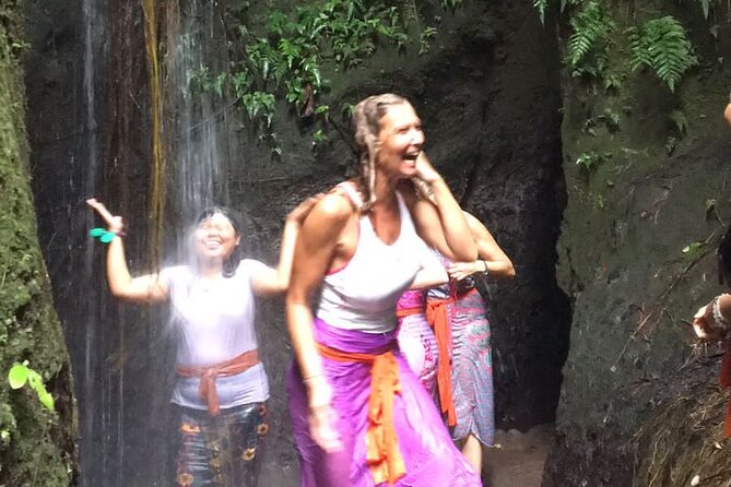 Healing and Purifications Tour in Bali - Inclusions and Amenities