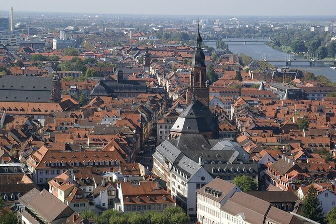 Heidelberg Private Walking Tour With A Professional Guide - Convenient Tour Schedule