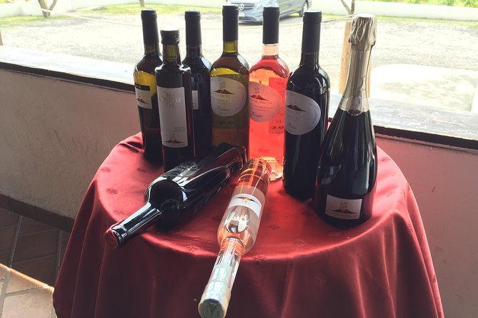 Herculaneum-Wine Tour From Sorrento, With Licensed Guide Included - Pickup and Meeting Details
