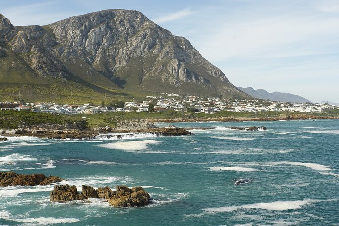 Hermanus Land Based Whale Tour With Dave De Beer - Exploring Hermanus Stunning Coastline