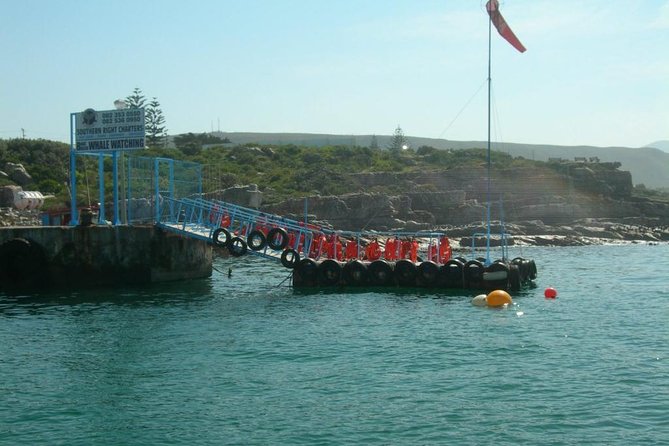 Hermanus Whale Watching Boat Trip With Shared Transfers From Cape Town - Guided Experience Insights