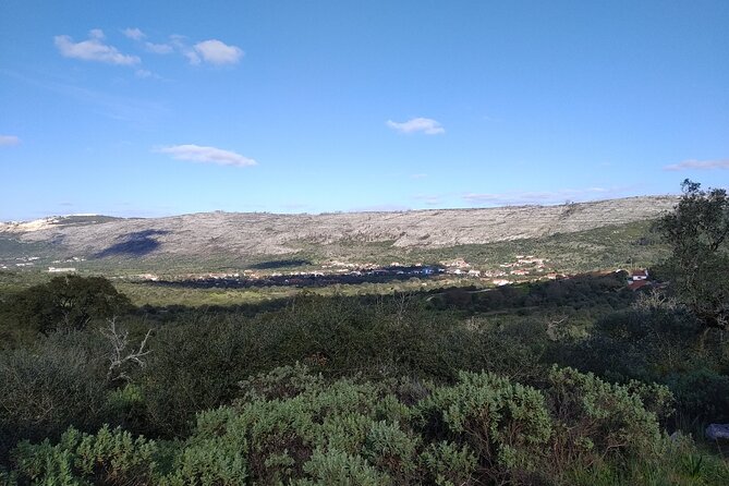 Hidden Charms: Private Nature Expedition in Serra Dos Candeeiros - Traveler Insights