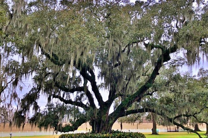 Highlights of New Orleans City and Destrahan Plantation Tour - Pickup and Meeting Details