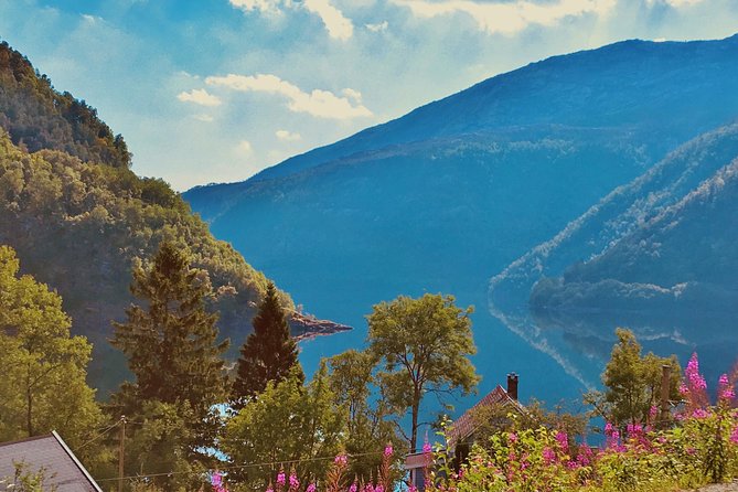 Highlights of Norway Sognefjord Tour Review - Pickup and Logistics