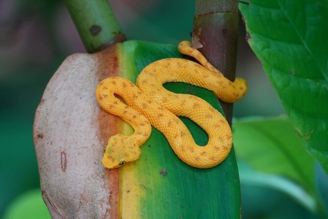 Hike Adventure in Cahuita National Park - Navigating Cahuitas Hiking Trails