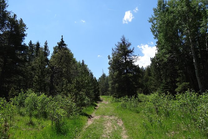 Hike the Rockies Half Day Tour - Meeting Location Details
