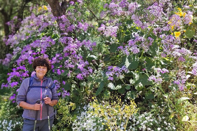 Hikes in the Green Gran Canaria - Best Hiking Trails
