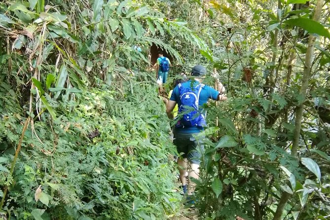 Hiking and Zipline Private Tour From Chiang With Karen Village - Itinerary and Activities