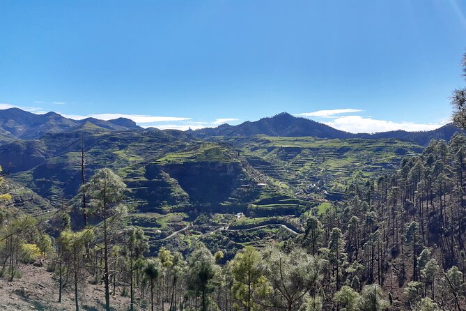 Hiking Experience in the North of Gran Canaria - Transportation and Lunch Options