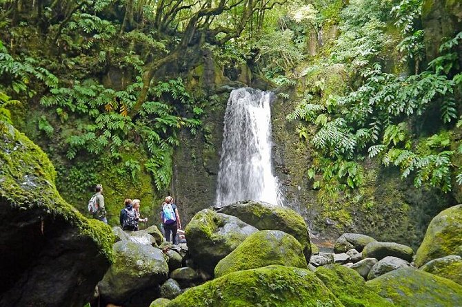Hiking Faial Da Terra + Van Tour Nordeste - Highlights of the Van Tour