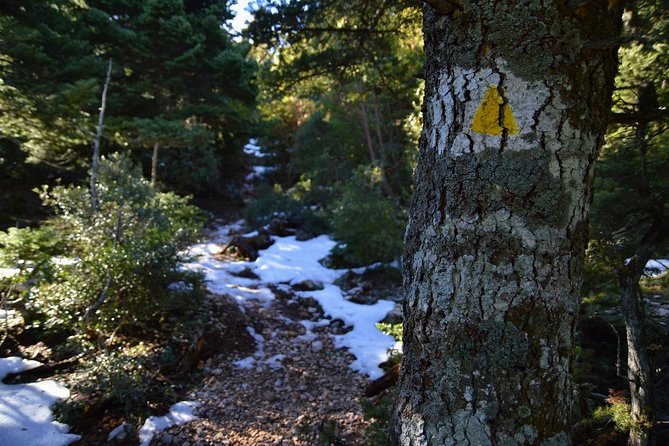 Hiking in Parnitha National Park From Athens - Tour Details