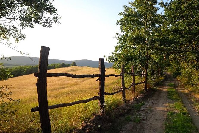 Hiking in the Bükk Mountains Near Eger - Discovering Local Flora and Fauna