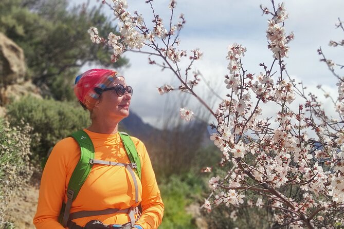 Hiking in the Sacred Mountains of Gran Canaria: UNESCO - Meeting and Pickup Logistics