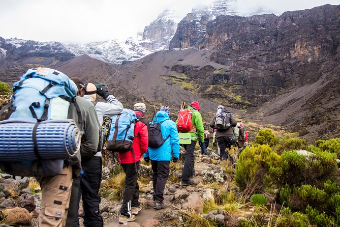 Hiking Mt Kilimanjaro 7 Days Scenic Route & Moderate Challenge - Scenic Route Highlights