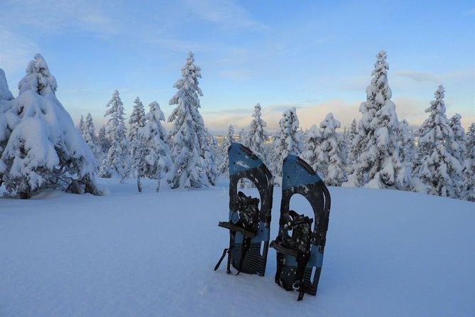 Hiking on Snowshoes - Summary of Reviews