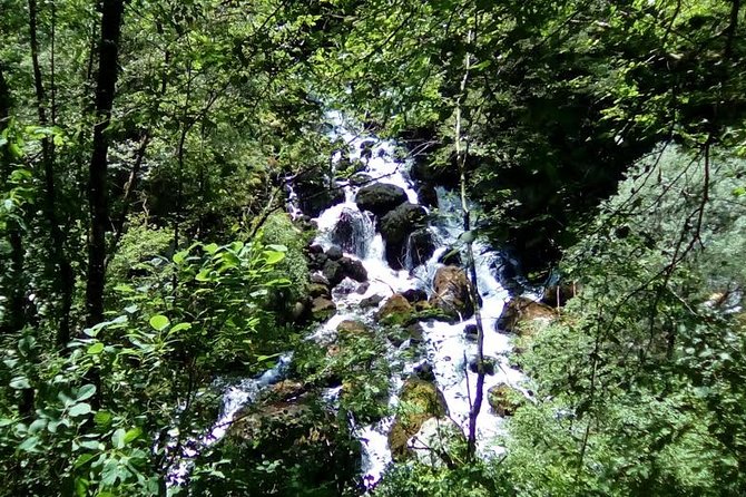 Hiking Tour Mrtvica Canyon - Inclusions and Exclusions