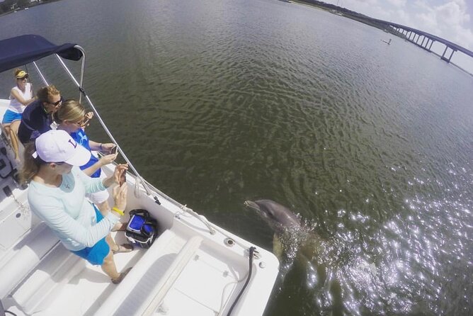 Hilton Head Island Sunset Dolphin Tour - Customer Experiences and Reviews