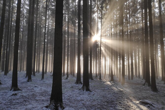 Historic Battle of the Bulge Sites Tour From Luxembourg - Scenic Stop at La Roche-en-Ardenne